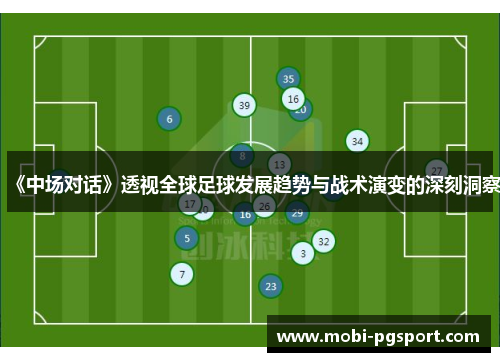 《中场对话》透视全球足球发展趋势与战术演变的深刻洞察
