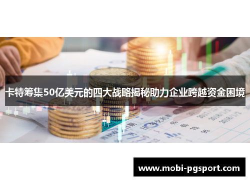 卡特筹集50亿美元的四大战略揭秘助力企业跨越资金困境