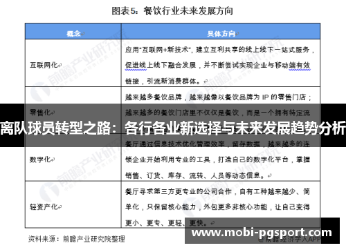 离队球员转型之路：各行各业新选择与未来发展趋势分析