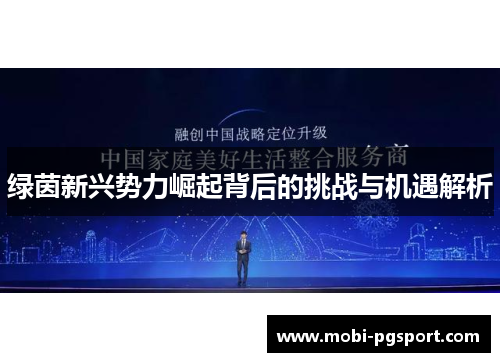 绿茵新兴势力崛起背后的挑战与机遇解析
