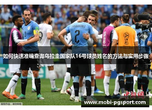 如何快速准确查询乌拉圭国家队16号球员姓名的方法与实用步骤