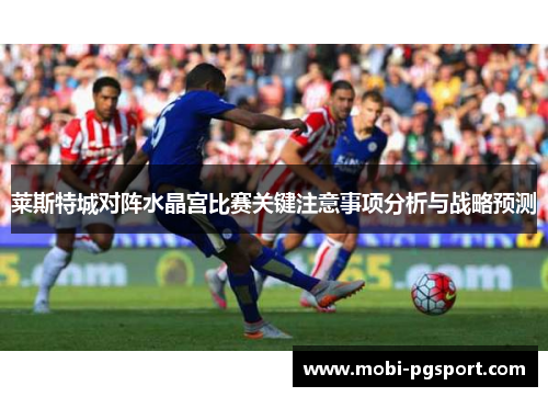 莱斯特城对阵水晶宫比赛关键注意事项分析与战略预测