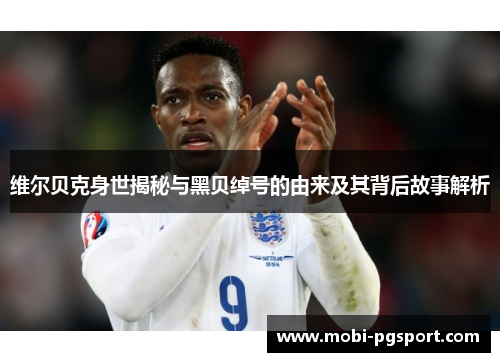 维尔贝克身世揭秘与黑贝绰号的由来及其背后故事解析 维尔贝克身世揭秘与黑贝绰号的由来及其背后故事解析