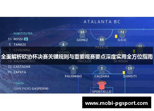 全面解析欧协杯决赛关键规则与重要观赛要点深度实用全方位指南 全面解析欧协杯决赛关键规则与重要观赛要点深度实用全方位指南