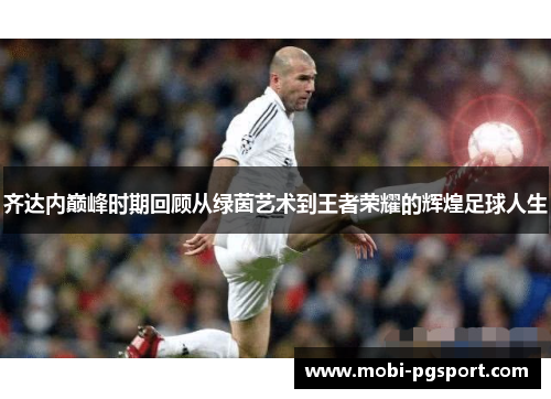 齐达内巅峰时期回顾从绿茵艺术到王者荣耀的辉煌足球人生