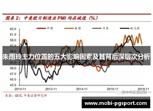 朱雨玲主力位置的五大影响因素及其背后深层次分析