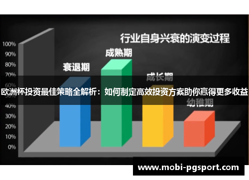 欧洲杯投资最佳策略全解析：如何制定高效投资方案助你赢得更多收益