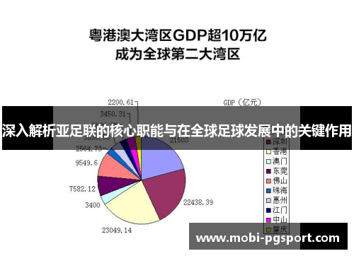 深入解析亚足联的核心职能与在全球足球发展中的关键作用