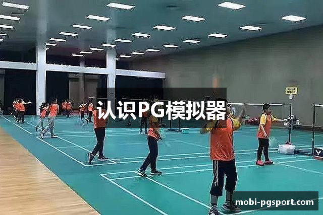 认识PG模拟器